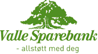 valle_sparebank_logo